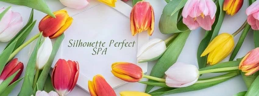 Portada de Silhouette Perfect SPA